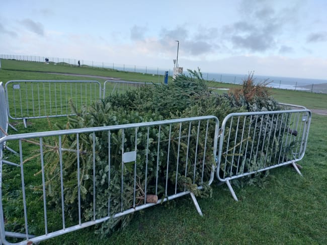 Residents take advantage of Christmas tree recycling scheme – The Voice