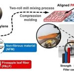 Revolutionizing plastics: Upcycling agricultural waste boosts performance and sustainability – Phys.org