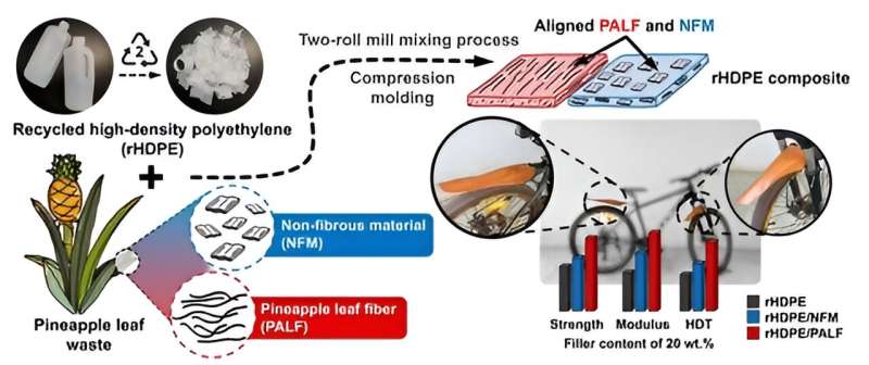 Revolutionizing plastics: Upcycling agricultural waste boosts performance and sustainability – Phys.org