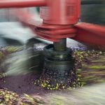 Flour upcycled from olive waste a ‘revolution’ for industry – FoodNavigator.com